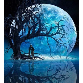 Norimpex - Puzzle Diamant painting: Moon over the lake 30x40 cm - 1 - 39 piese