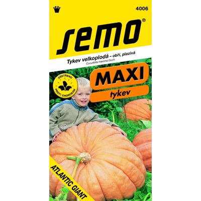 TEKVICA obrovská Atlantic Giant