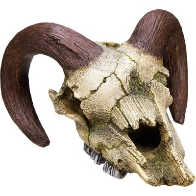 Nobby Beran lebka 17,5x16x9,5 cm