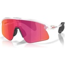 Oakley STUNT DEVIL