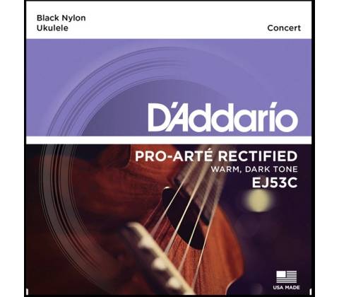 D´Addario EJ53C