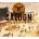 Saloon Simulator