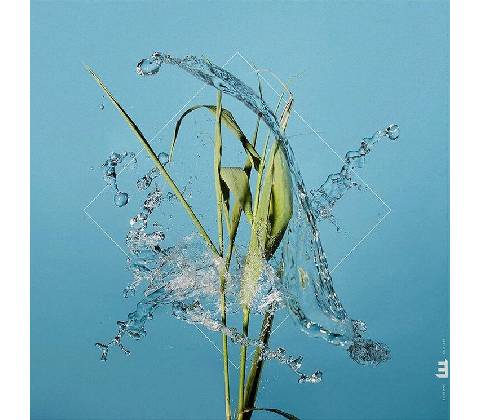 Fergus McCreadie - Stream LP