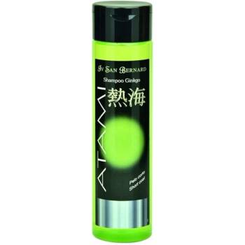 IV San Bernard Ginkgo 300 ml