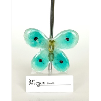 Meganflo Пеперуда брошка от кокиче