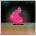 Broken Bells - Meyrin Fields / EP CD