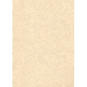 ELBE Фолио за басейн Pearl Premium Line - Sand - Дебелина 1, 6 mm / 25 x 1, 65 m (530300233)