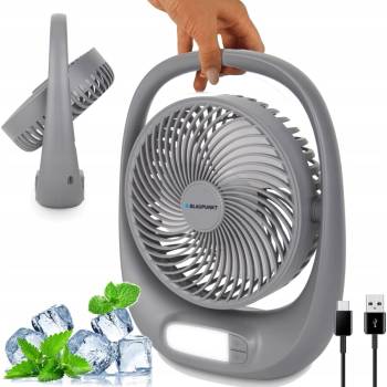 Blaupunt APF301