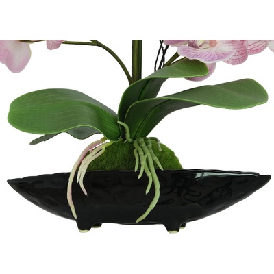 Orchidej aranžmá s květináči, růžová, 60 cm.