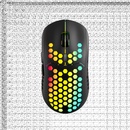 CANYON 7keys (CND-SGMW18)