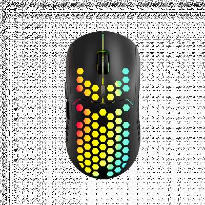 CANYON 7keys (CND-SGMW18)
