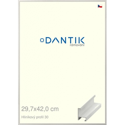 DANTIK rám na obraz 29,7 x 42 Dýha bílá