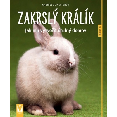 Zakrslý králík – Jak mu vytvořit útulný domov