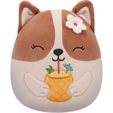 Squishmallows Corgi s drinkem Regina