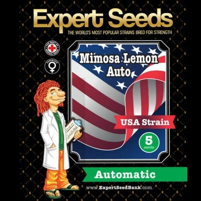 Expert Seeds Mimosa Lemon Auto semienka neobsahujú THC 15 ks
