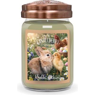 Candleberry Candle Křehká setkání 624 g