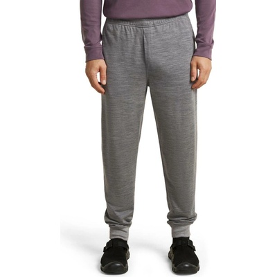 Icebreaker Mens Merino 200 Shifter Pants Metro Heather