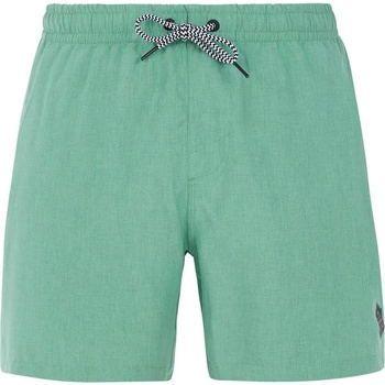 Protest Бански гащета Protest Davey swimming shorts - Green (Frost Green)