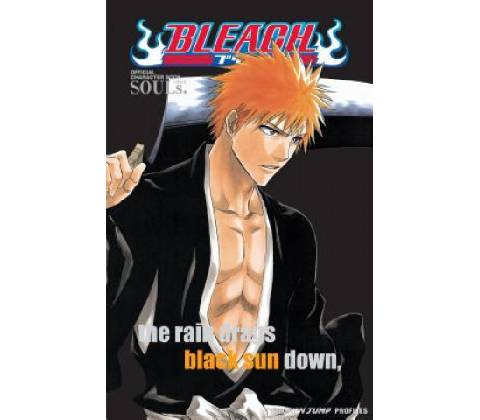 Bleach SOULs