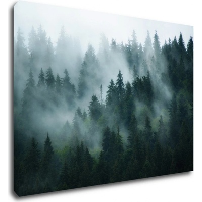 Impresi Obraz Les v hmle - 70 x 50 cm