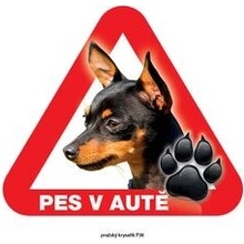 Grel nálepka na sklo pozor pes v autě pražský krysařík