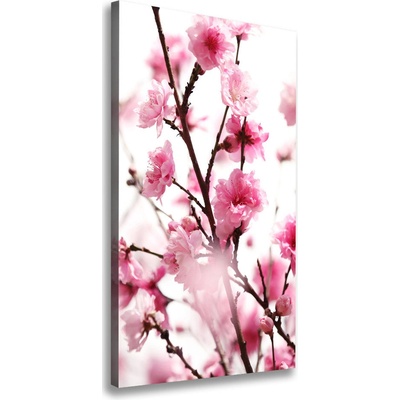 Vertikálny foto obraz na plátne Kvety slivky 50x100 cm