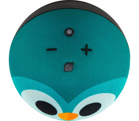 Amazon Echo Dot 5 Owl Design