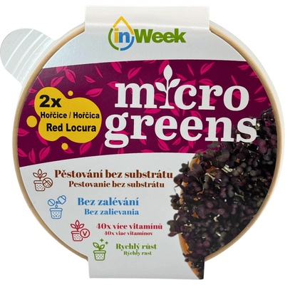 Hořčice RED LOCURA microgreens semínka + dárek k nákupu