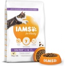 Krmivo pre mačky IAMS Cat Kitten kuracie mäso 10 kg