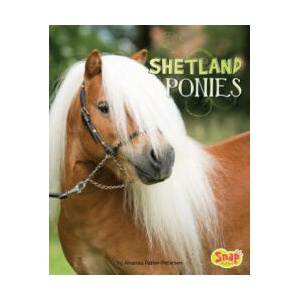 Shetland Ponies | Amanda Parise-Peterson (ISBN: 9781543500400)