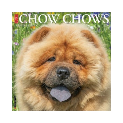 Chow Chows 12 X 12 Wall 2026