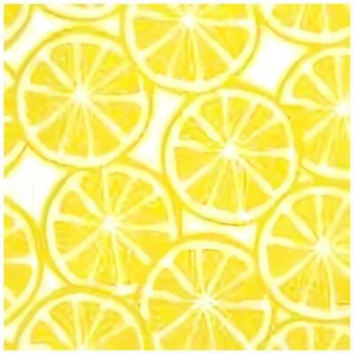 Procos Ubrousky plátky citronu 3V 33x33 cm 20ks