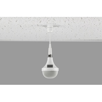 Clockaudio C 303W-RF