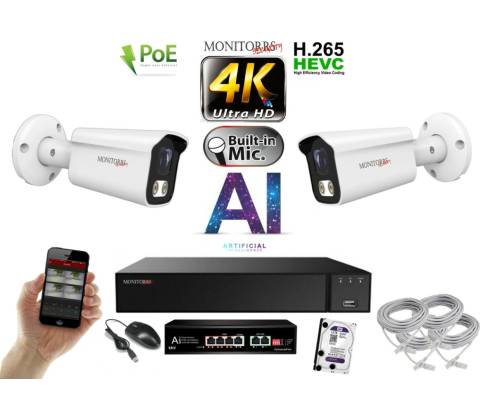 Monitorrs Security 6378K2B