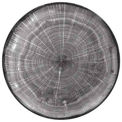 RAK Porcelain Woodart talíř dezertní coupe 15 cm šedá RAK-WDNNPR15BG