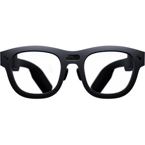 XREAL RayNeo X2 AR (ARGT78-2A4FEU1)