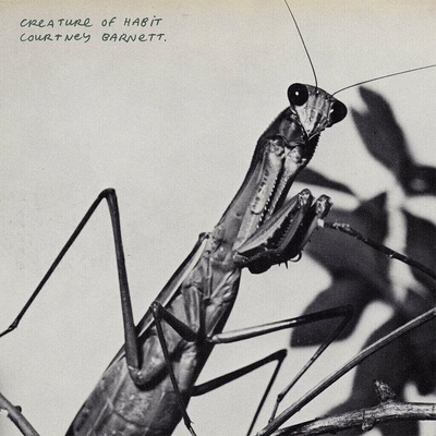 Courtney Barnett - Creature Of Habit CD