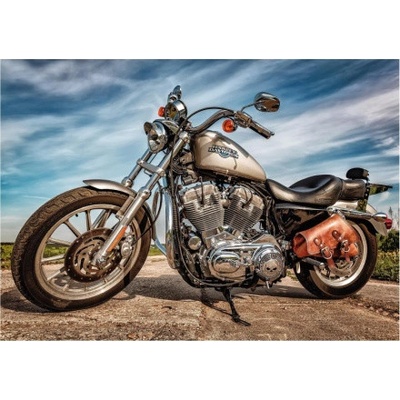 Dino Harley Davidson 500 dílků