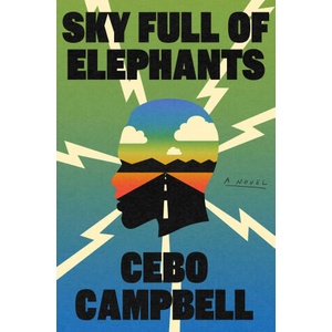 Sky Full of Elephants | CAMPBELL CEBO (ISBN: 9781668034927)