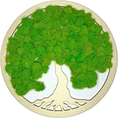 Machový obraz - Strom života NAT - lišajník Veľkosť rámu: 50cm
