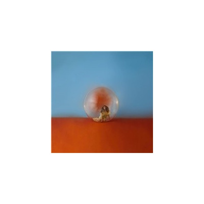 CARA, ALESSIA - IN THE MEANTIME LP