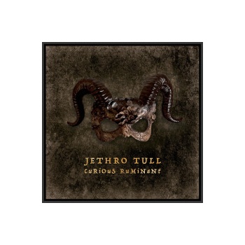 Jethro Tull Curious Ruminant Digipack CD
