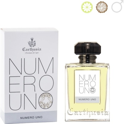 Niche Carthusia Numero Uno parfémovaná voda pánská 100 ml