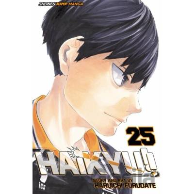 Haikyu!! 25 - Haruichi Furudate
