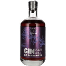 Rammstein Sloe gin 27% 0,7 l (čistá fľaša)