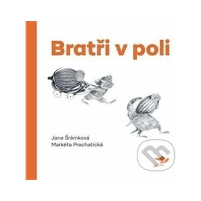 Bratři v poli Jana Šrámková