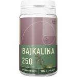 NANGA Безсъние и имунитет - Шлемник байкалски, 250 mg х 100 капсули (408303 NNG)