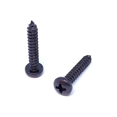 Šroub do plechu s půlkulatou hlavou a drážkou PH, DIN 7981C, zinek černý 3,9 x 13 - hobby balení, balení 1 ks – Zbozi.Blesk.cz