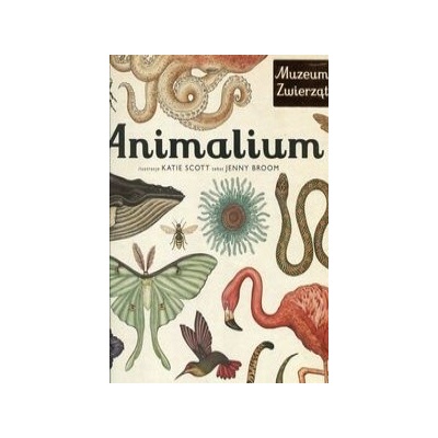 Animalium - Jenny Broom, Katie Scott