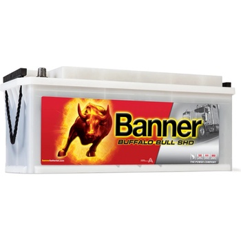 Banner Buffalo Bull SHD 12V 170Ah 1000A SHD670 33